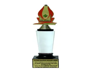 Excellence Certificate